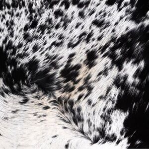 Cowhide throw pillow 15” x 15”